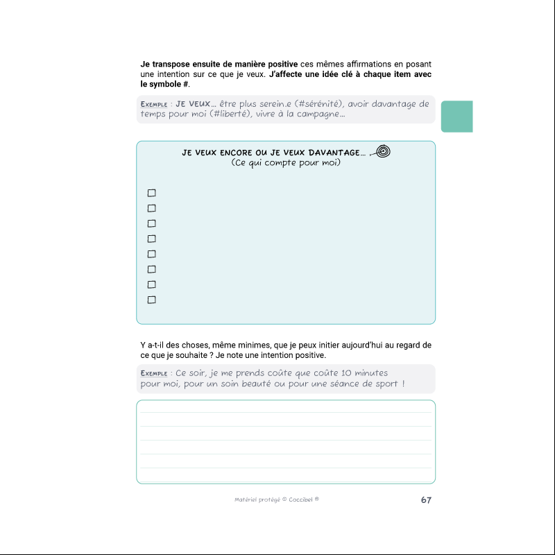 Journal d'introspection T1 p67 ce que je veux
